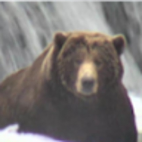 Meet your Posher, Linda - Picture 1 of 1